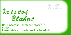 kristof blahut business card